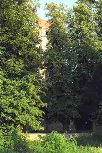 The church surrounded with lime trees.