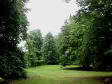 Der Park mit seinem herrlichen Baumbestand.